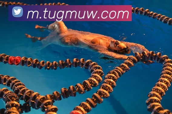 奖项3